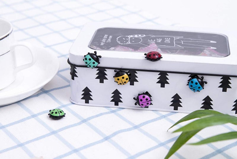 TabEnter Decorative Refrigerator Magnets, Perfect Fridge Magnets for House Office Personal Use (12Pcs Ladybug) - Image 4